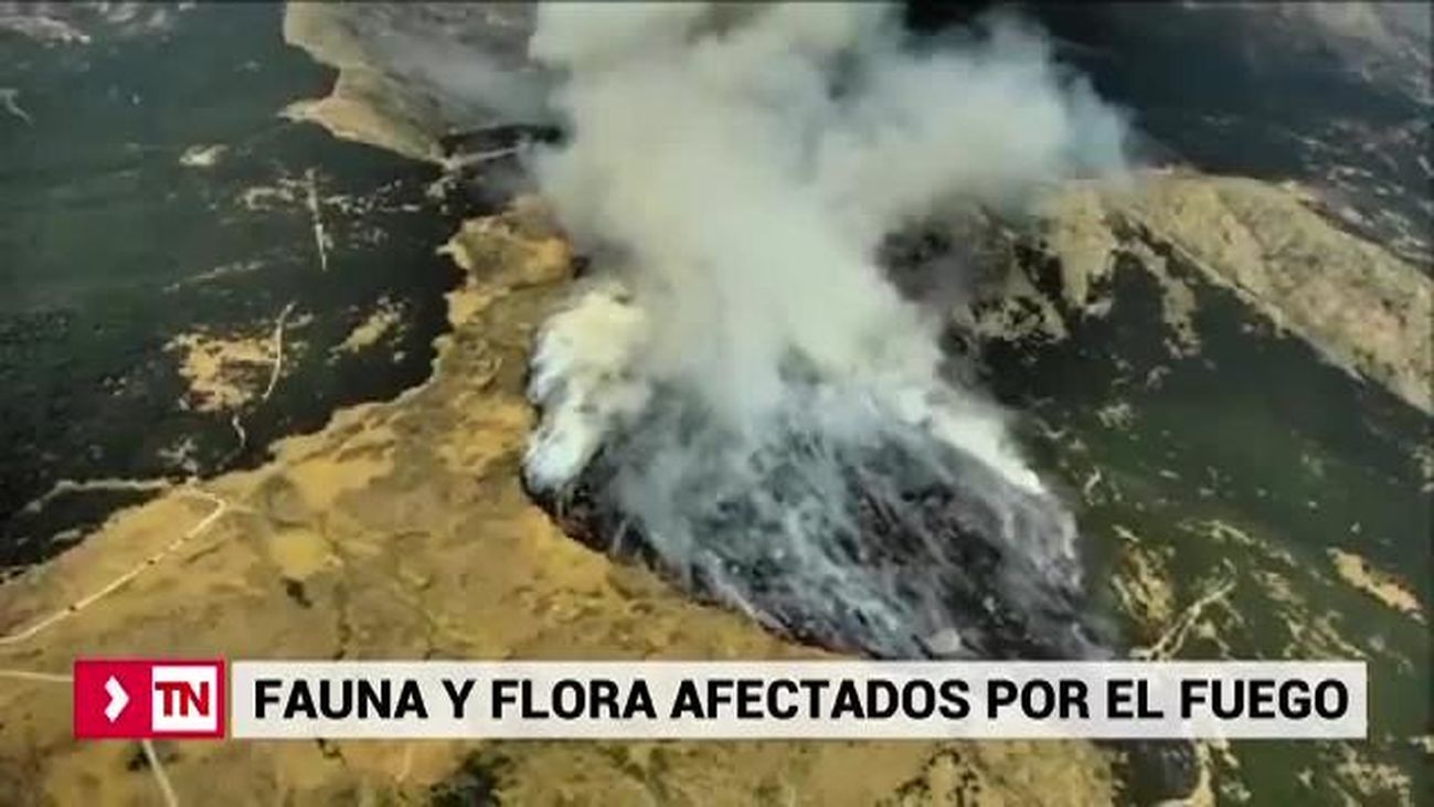 Telenoticias 2 08.08.2019
