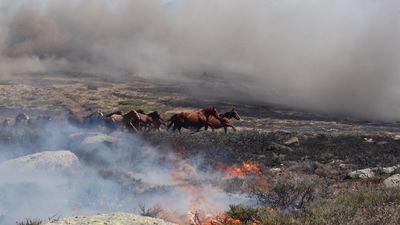 Ciro, el piloto bombero que salvaba a los caballos en el incendio de La Granja