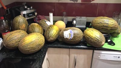 El madrileño de los 12 melones y un hilo de Twitter