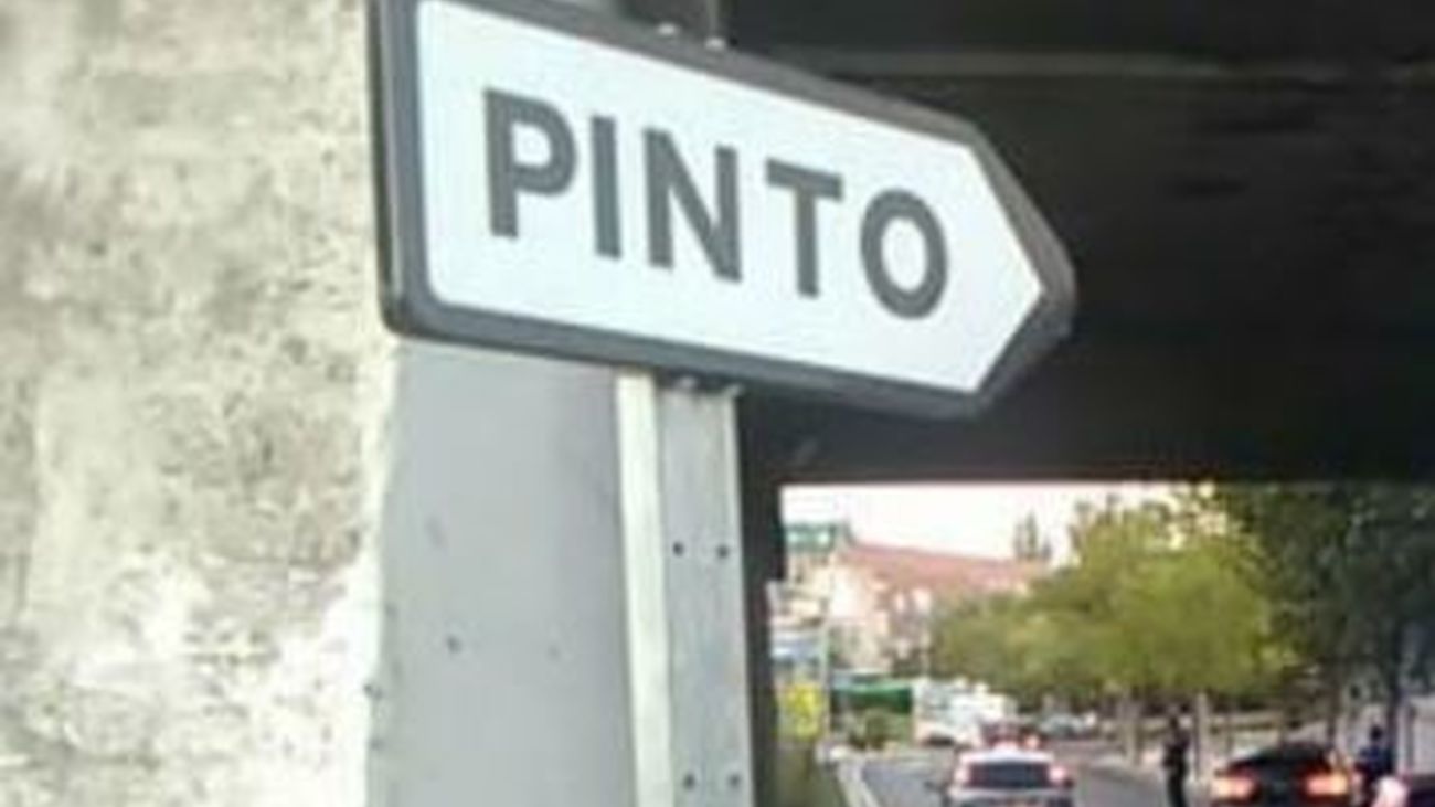 Capturados en Pinto cuatro hurones sueltos en las calles del municipio