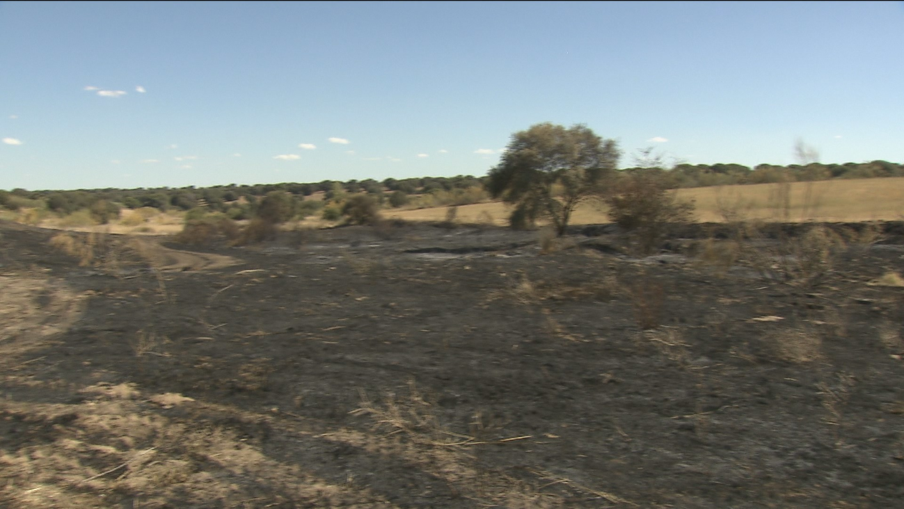 Los malos olores invaden el suroeste de la región