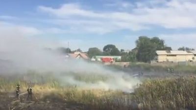 Bomberos de Madrid evitan que un incendio de pastos alcance unas viviendas de la Cañada Real