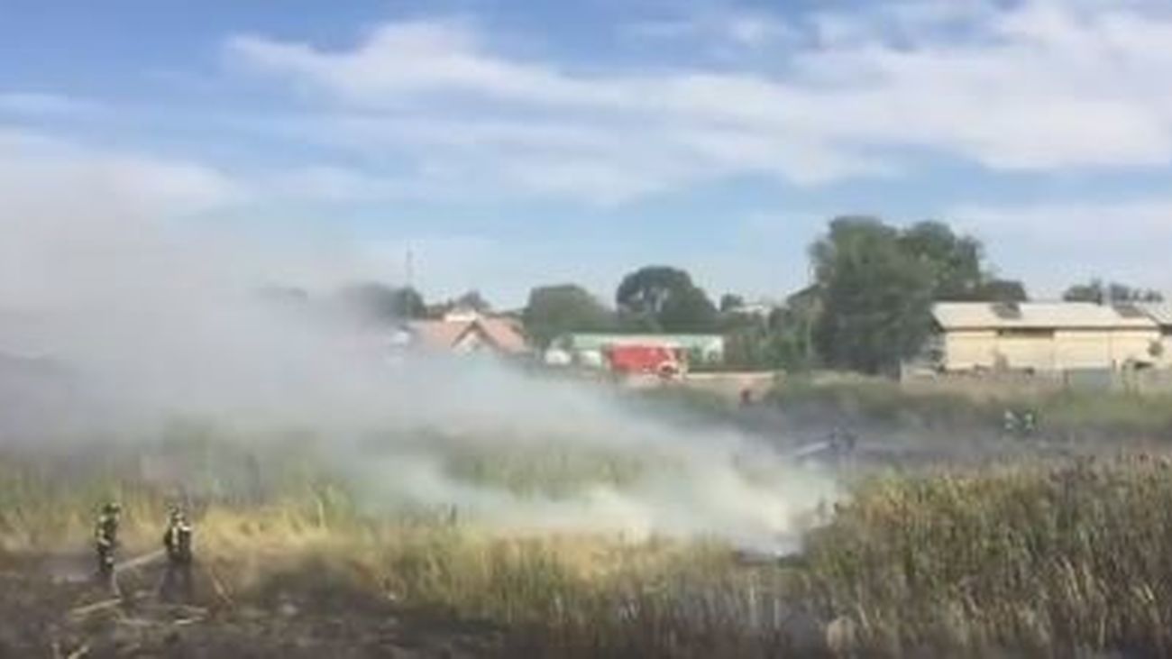 Incendio de pastos en la Cañada Real
