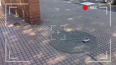 Una plaga de ratas invade Alcalá de Henares