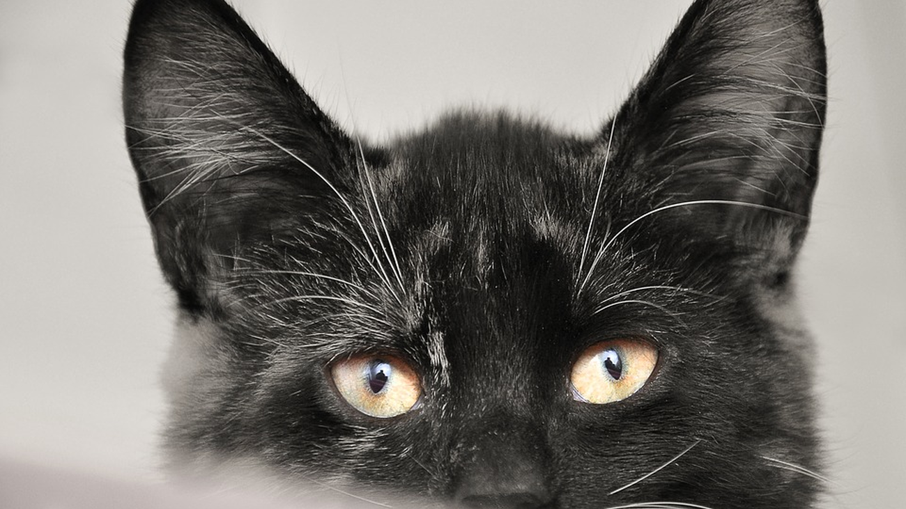 Martes 13, ¿mala suerte?