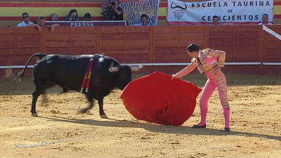 Toros en Telemadrid: Primera de la Feria de Cenicientos (1ª parte)