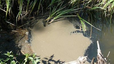 Denuncian ante la Fiscalía del Estado vertidos de aguas fecales en el río Guadalix