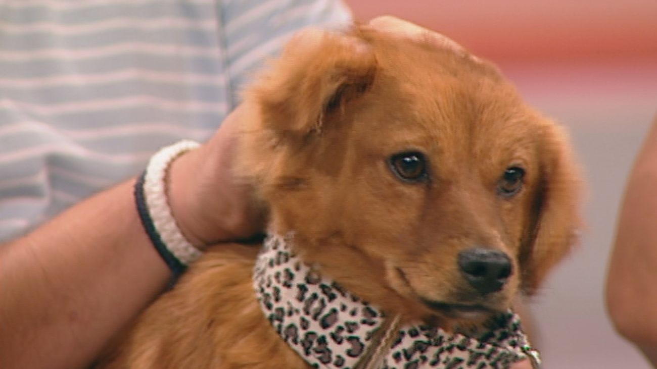 Está Pasando 16.08.2019