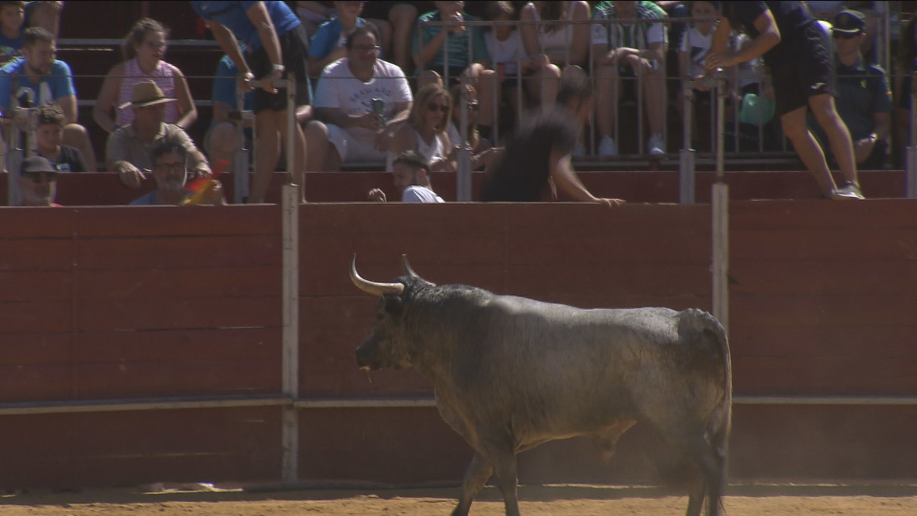 La región en fiestas