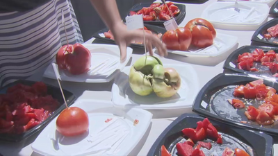 Llega la XIV edición del concurso de tomates en Robledo de Chavela