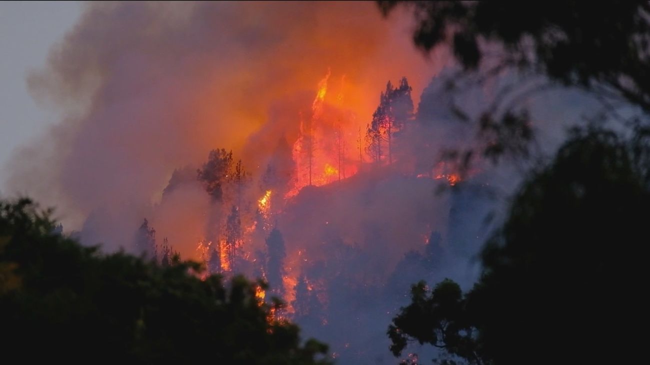El fuego del incendio de Gran Canaria entra en el Parque Natural de Tamadaba