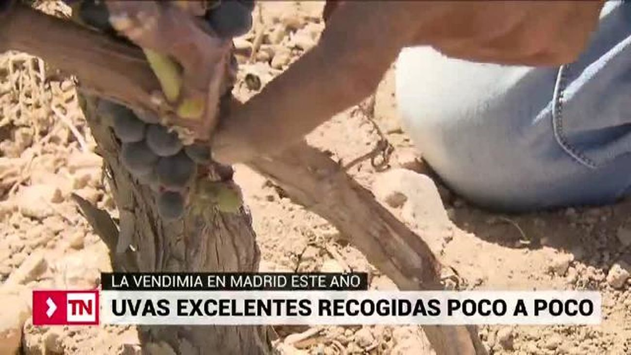 Telenoticias Fin de Semana 18.08.2019