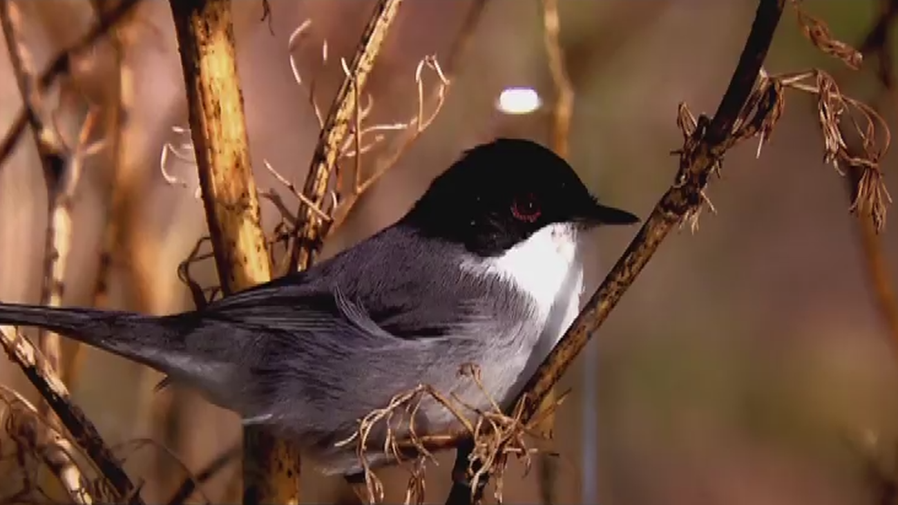 La naturaleza siempre se abre paso