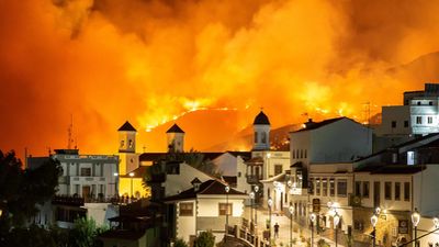 Luis Fernando Arencibia: "las noticias del fuego son más favorables por el cambio de las condiciones"