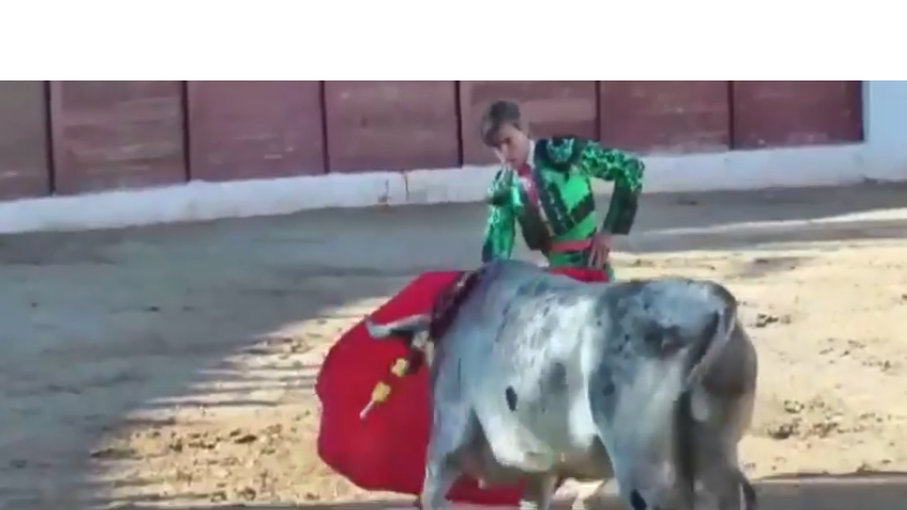 Tras 12 días, el torero en huelga de hambre frente a Las Ventas regresa a casa