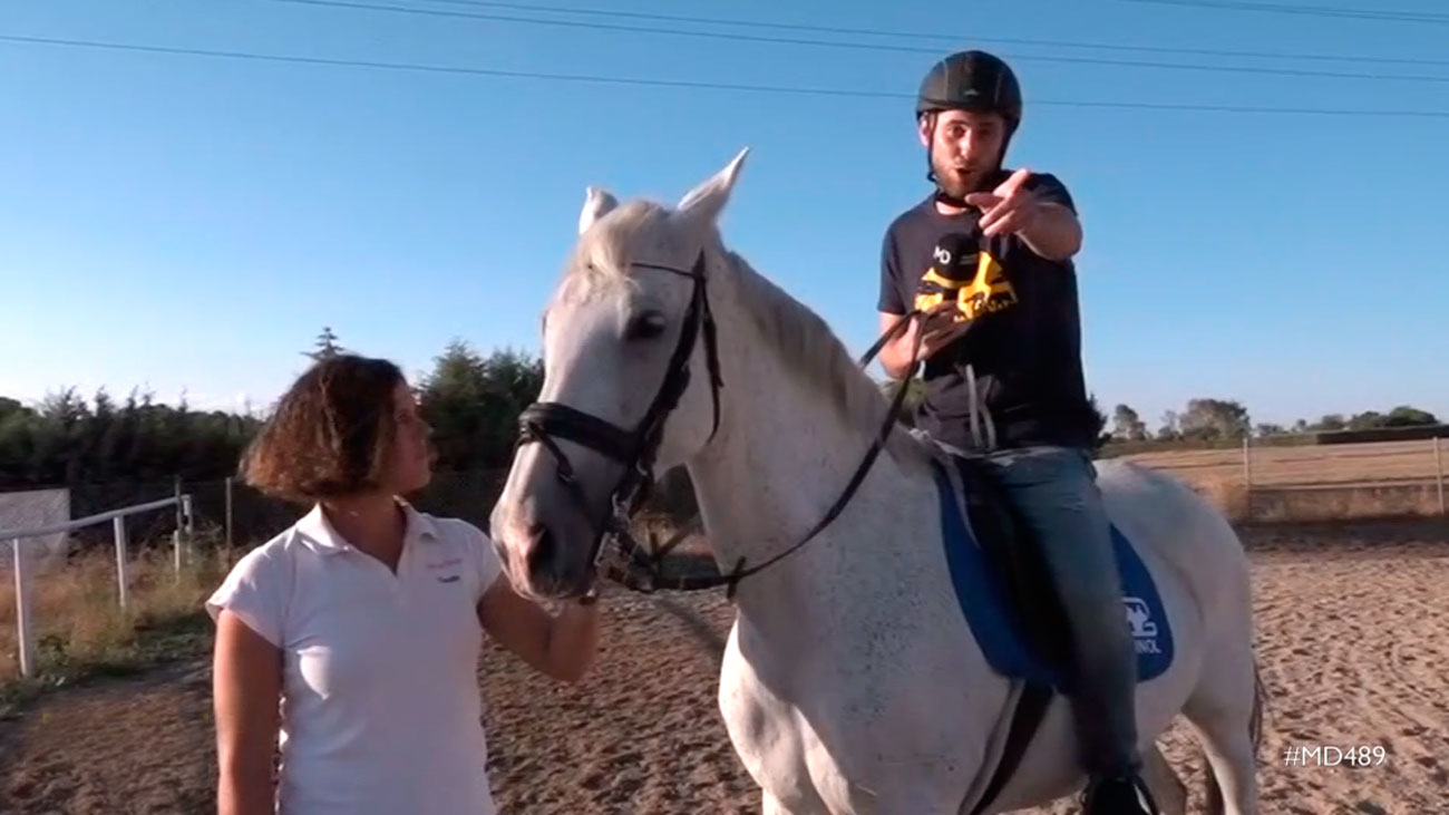 Disfruta de la hípica en Leganés