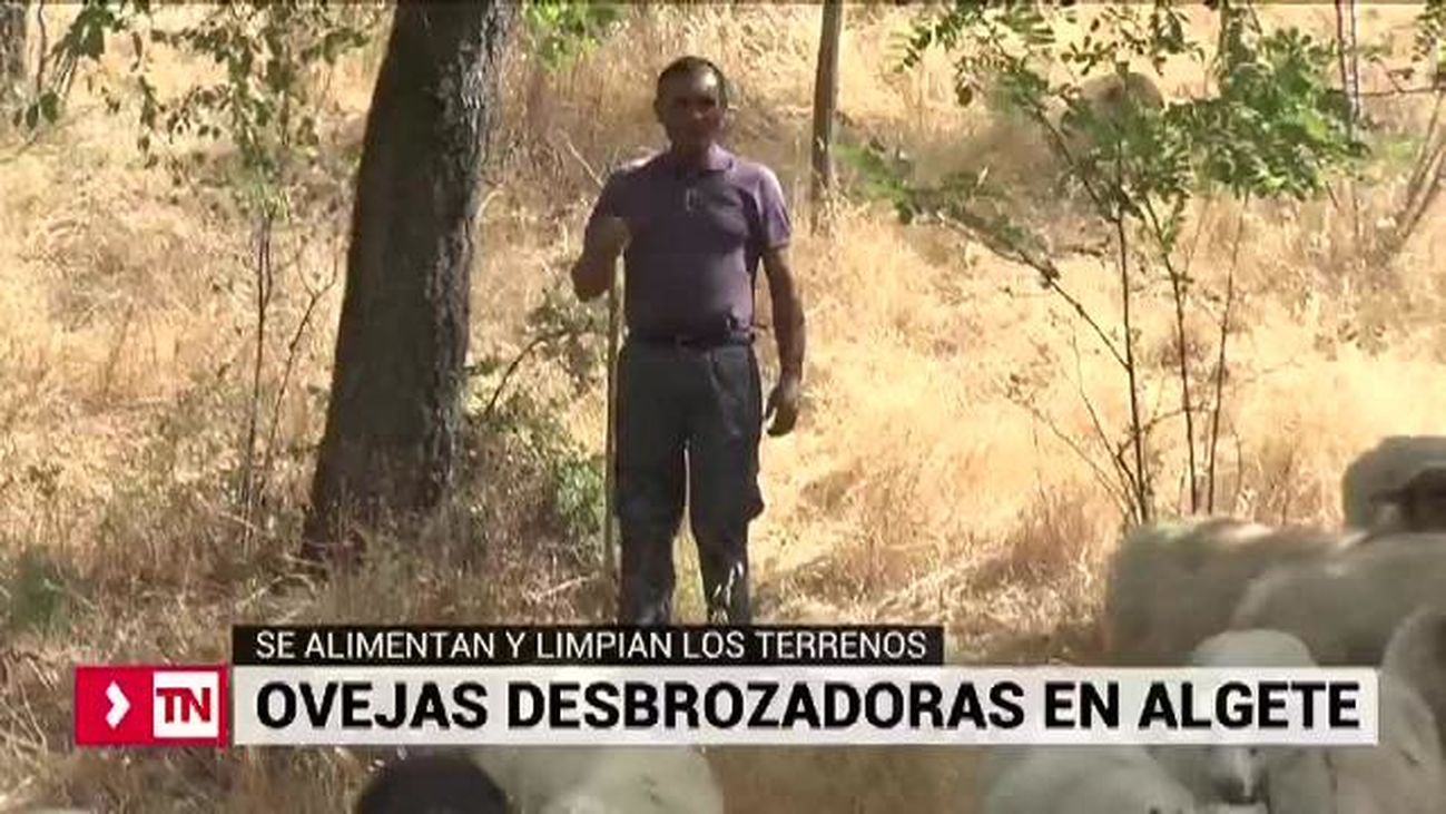 Telenoticias 1 20.08.2019