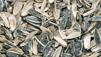 Hasta 1.500 euros de multa por tirar pipas en las calles de Getafe