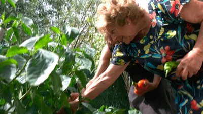 Cipriana a sus 74, una gran emprendedora