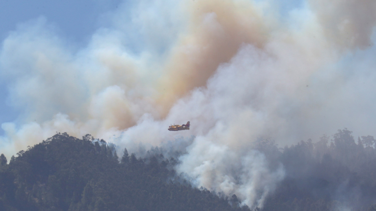 El incendio de Gran Canaria se estabilizará en las próximas horas