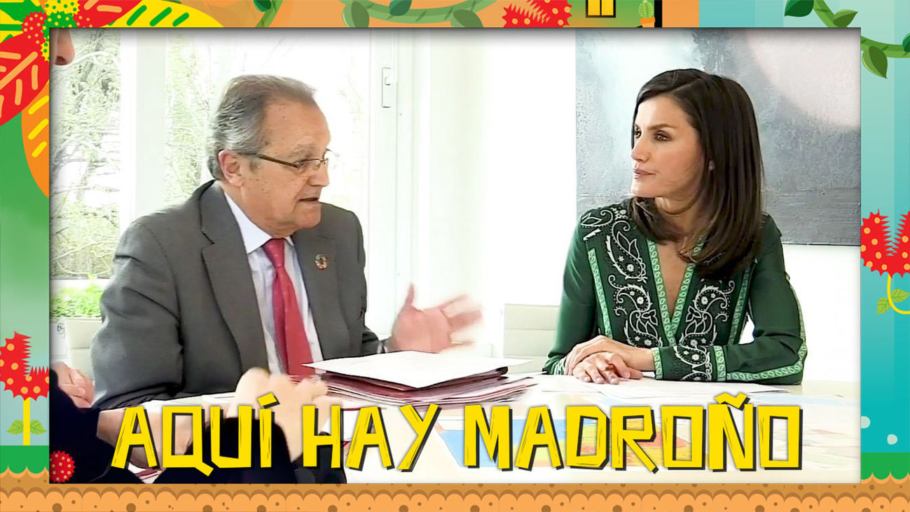 ¡Letizia Ortiz Rocasolano vuelve a la televisión!