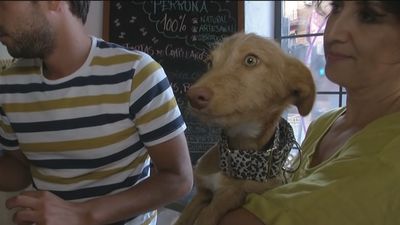 Está Pasando 23.08.2019