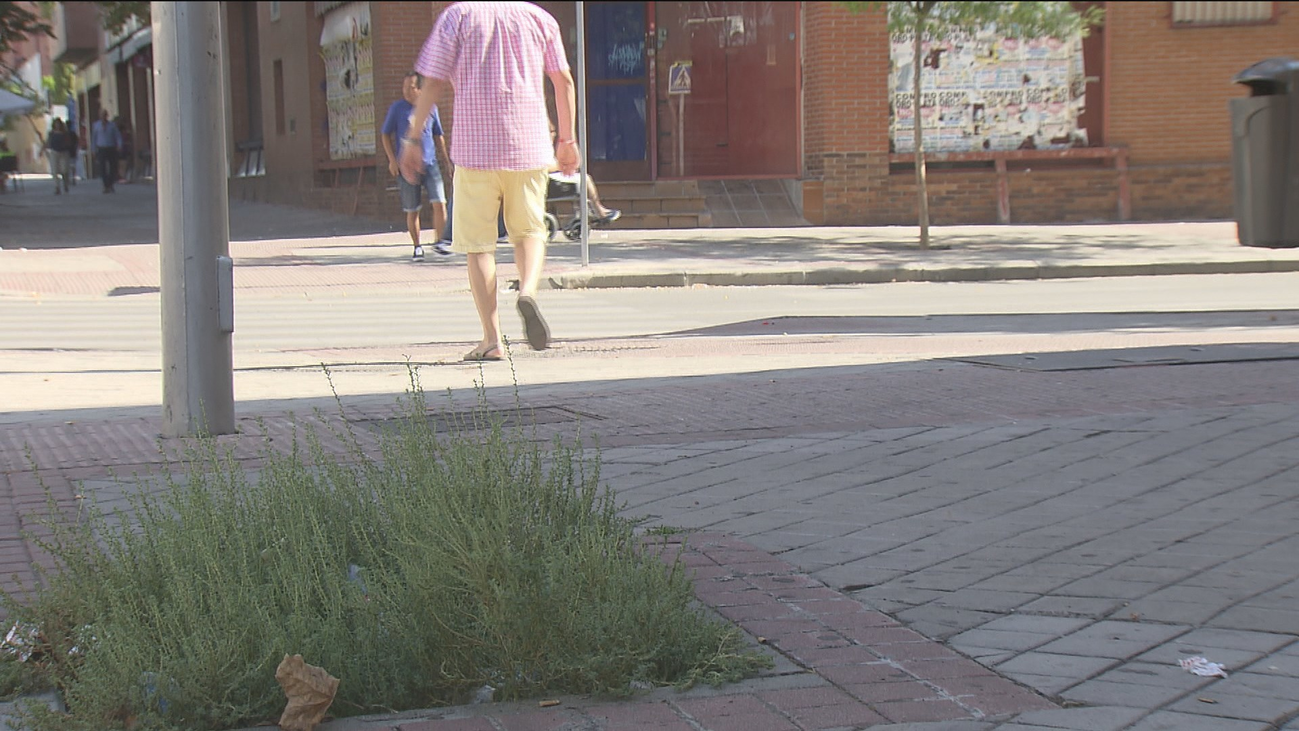 Madrid comienza a eliminar los 3000 alcorques vacíos de la capital