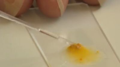 FACUA critica que las administraciones no muestren imágenes de la carne mechada de Magrudis