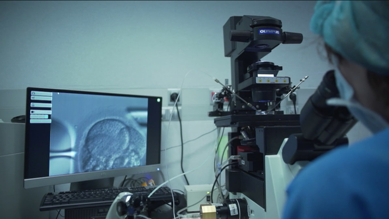 Congelar óvulos, la opción elegida por madres jóvenes para garantizar la maternidad