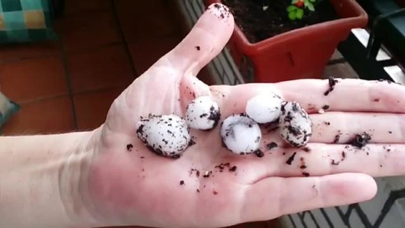 Imágenes de las piedras de granizo que han caído en Móstoles