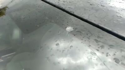 Está Pasando 26.08.2019