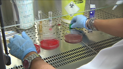 El  Gobierno se reúne con las Comunidades Autónomas para afrontar la crisis de la listeriosis