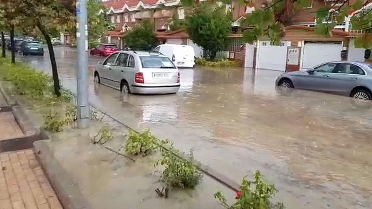 Los agricultores de Arganda del Rey lo han perdido todo