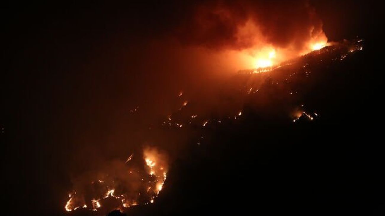 Los efectos de los incendios sobre la fauna