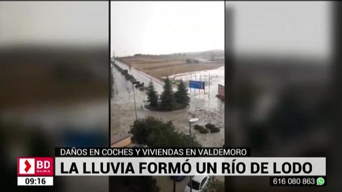 Buenos Días Madrid 28.08.2019