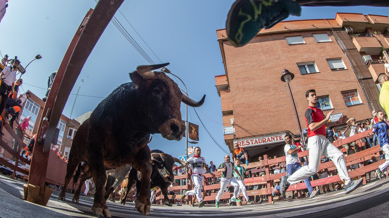 Seis heridos leves en el segundo encierro de 'Sanse'