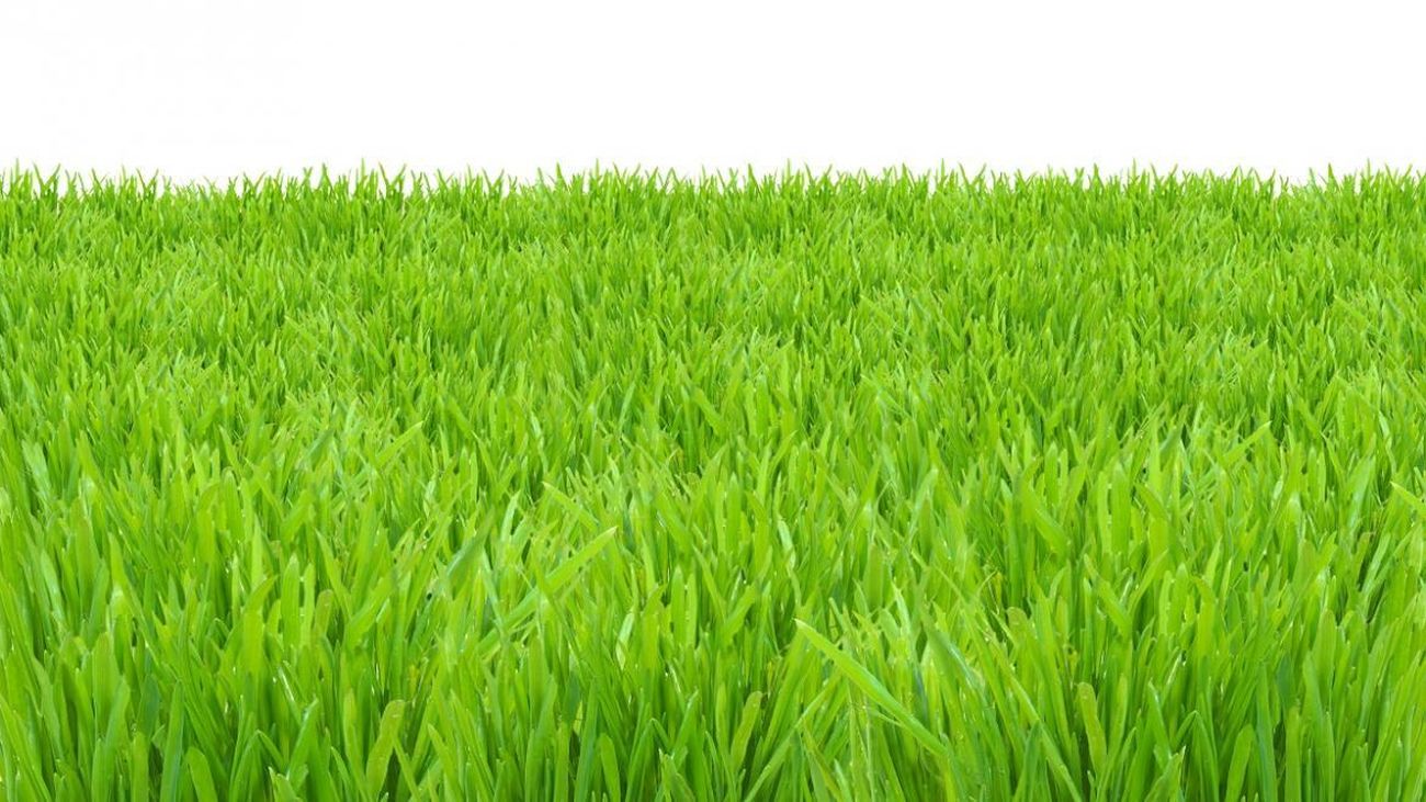 Céspedes sostenibles en la Comunidad de Madrid