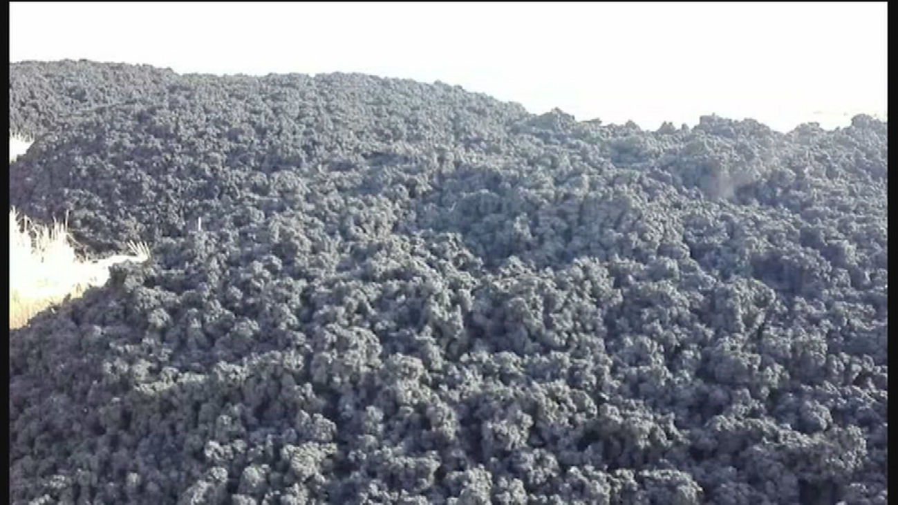 Aparece un vertido de lodo, de origen desconocido, en Pinto