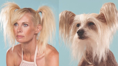 Dime qué perro tienes y te diré quién eres