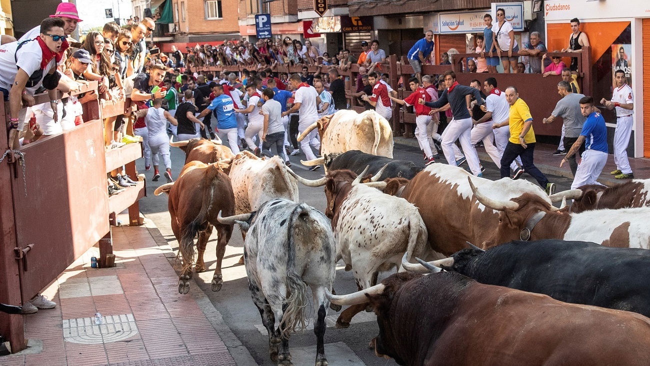 Encierro en San Sebastián de los Reyes 2019