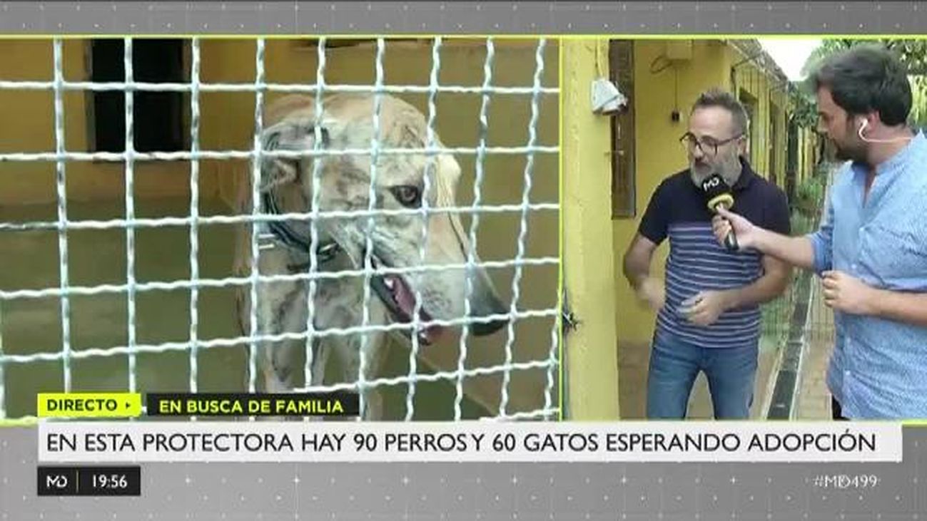 Madrid Directo 03.09.2019