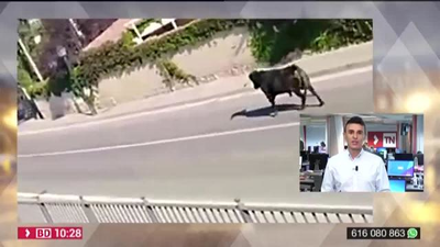 Susto tremendo en el último encierro de Morata de Tajuña