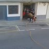 Año negro en los festejos populares con toros