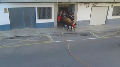 Año negro en los festejos populares con toros