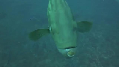 Visitamos la reserva marina de Cabo de Palos