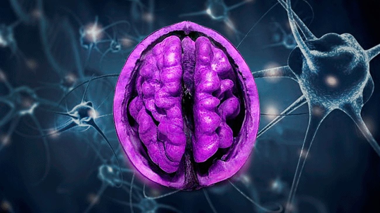 La razón por la que estos alimentos se parecen a los órganos de nuestro cuerpo