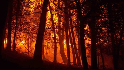 Estabilizado el incendio de A Gudiña (Ourense) tras quemar 440 hectáreas