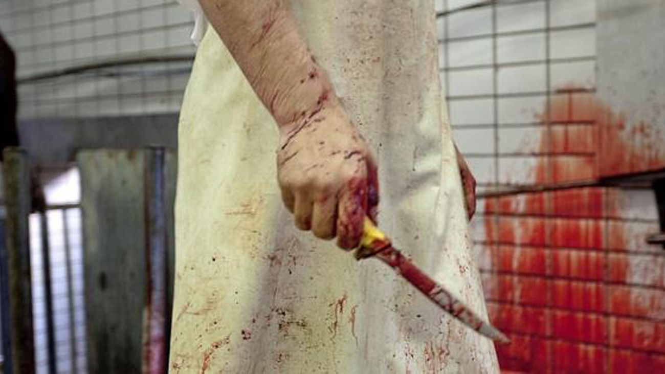 Paranormal Experience, la moda de los escape rooms de terror en Madrid