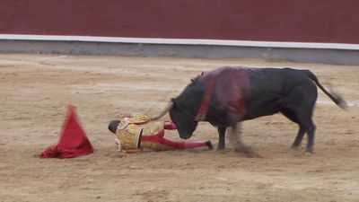 Grave cornada en la zona ocular a Javier Cortés en la Corrida Concurso de Las Ventas