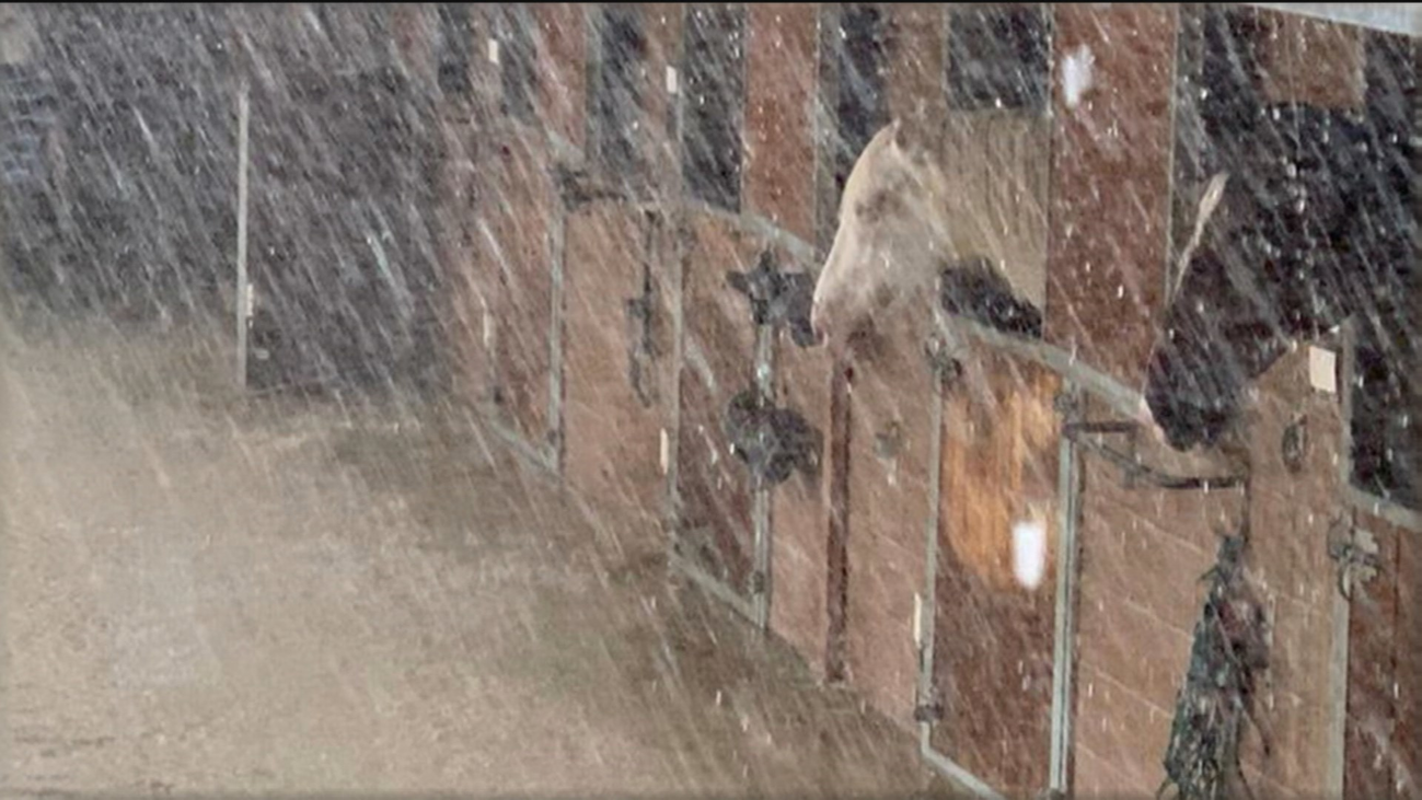 Se juegan la vida para salvar sus caballos de la riada en Arganda